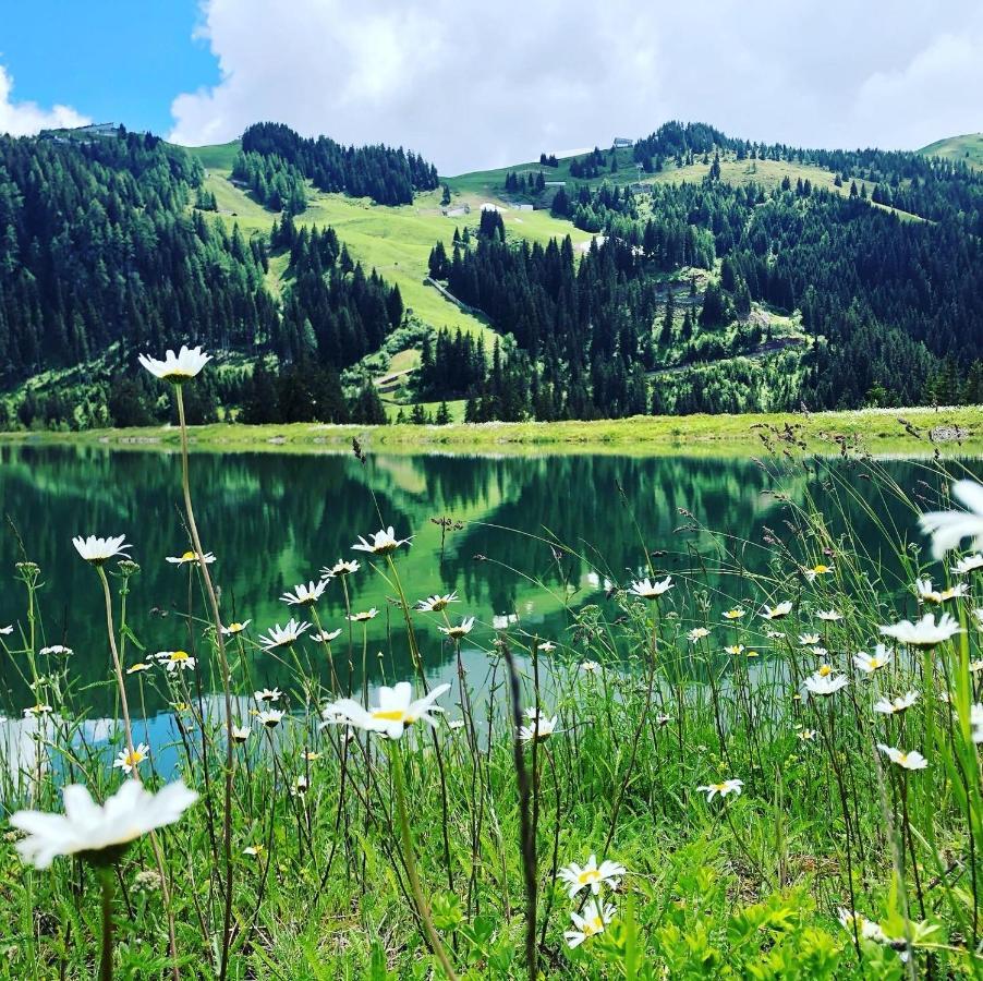 Sonnenschein Appartement Rebecca Kirchberg in Tirol Zewnętrze zdjęcie